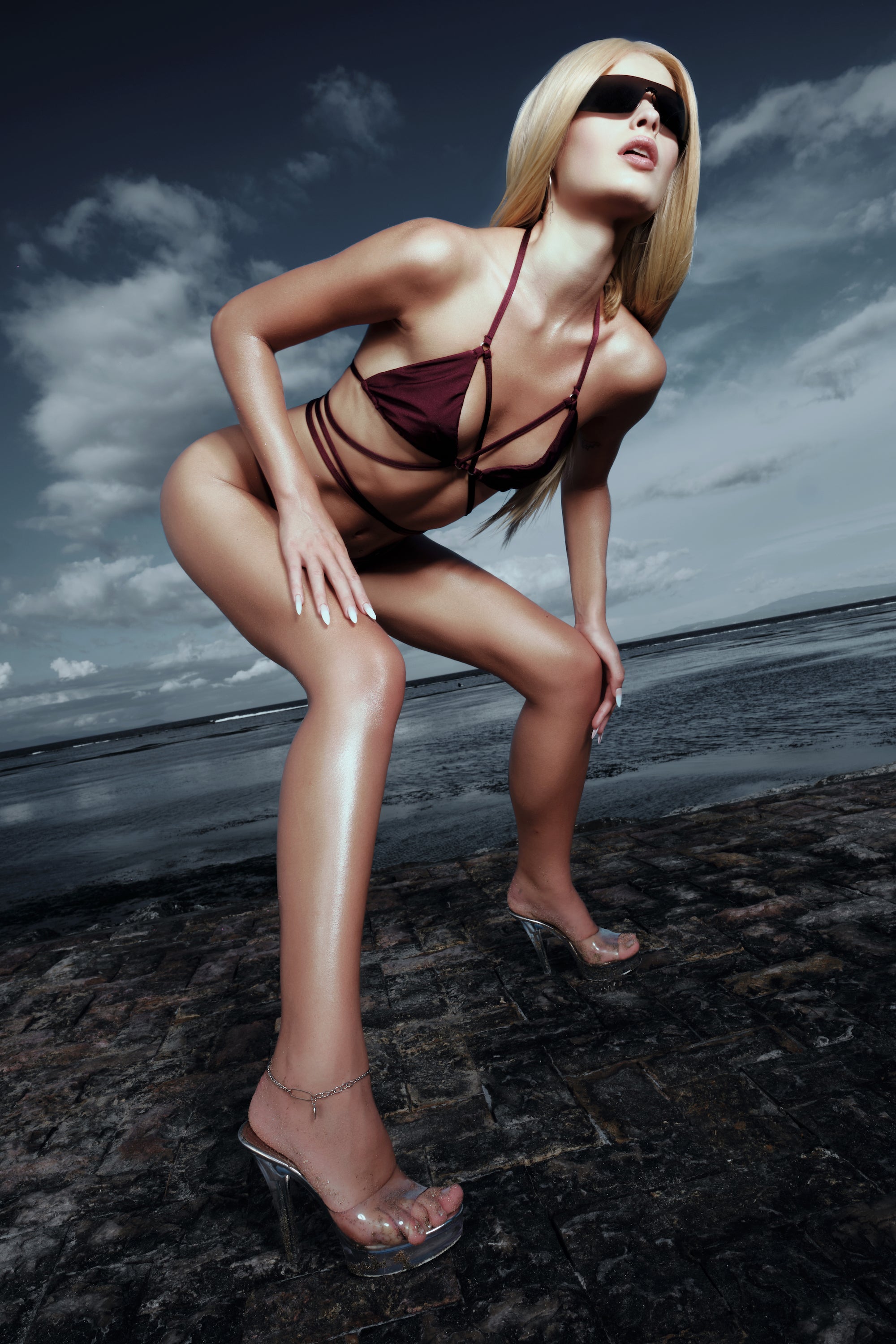 Salome Bikini Bottom Plum