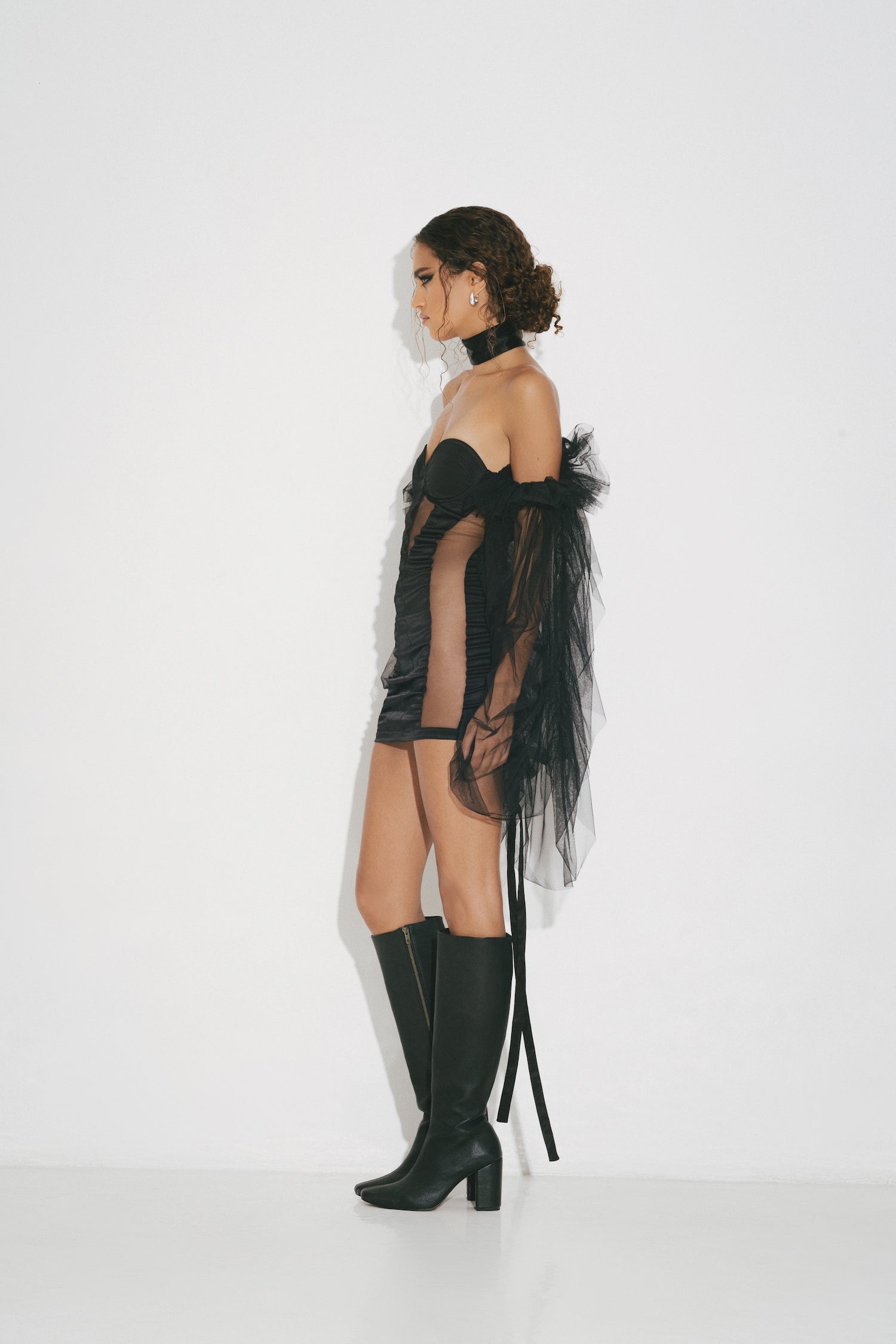Black Swan Dress
