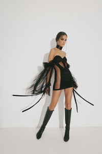 Black Swan Dress